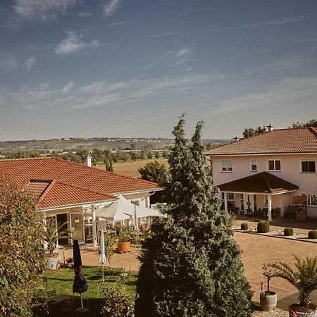 Rotwein Stadecken-Elsheim