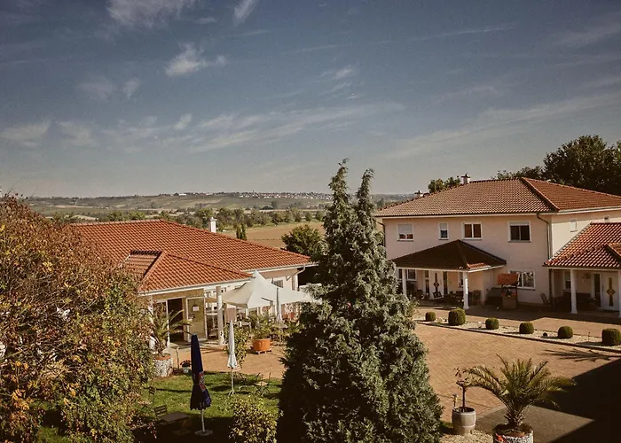 Rotwein Stadecken-Elsheim